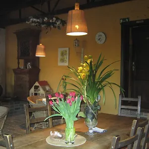  Gasthuis Die Bunte Kuh In Federow